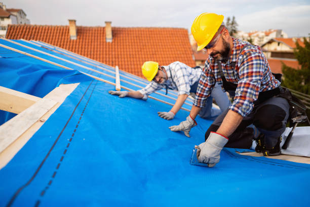 Best Roof Maintenance Services  in Beverly, OH